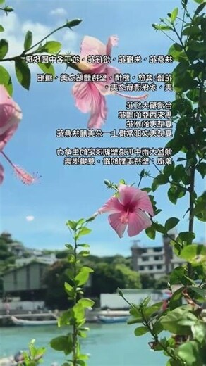 朱槿花 花語